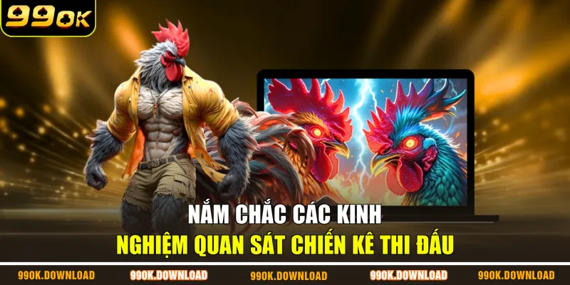 Nắm chắc các kinh nghiệm quan sát chiến kê thi đấu