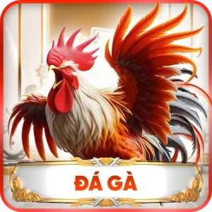 đá gà 99ok